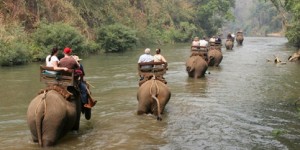 Elephant_Trek_6