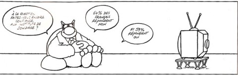 chat-sondage